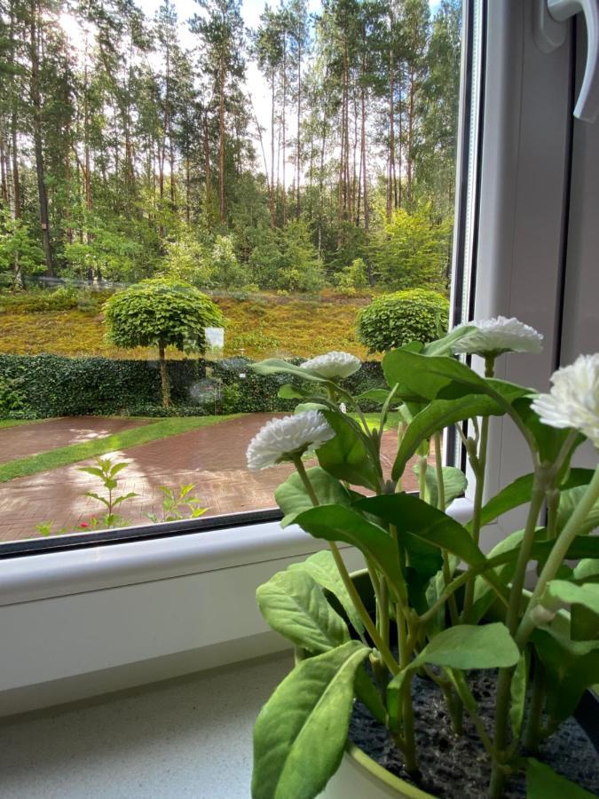 Lesny Apartament Ostrzyce Buitenkant foto
