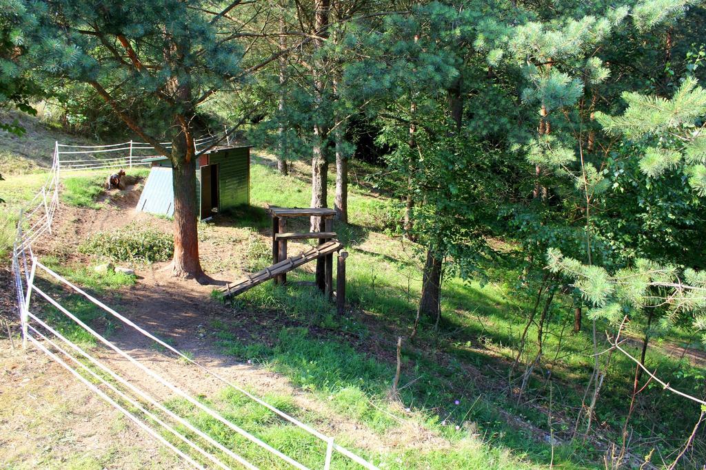 Lesny Apartament Ostrzyce Buitenkant foto